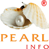 Add Pearl Info - Software development company  in Ahmedabad Logo